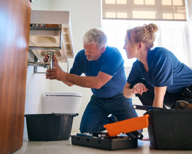 Best Local Plumber Services  in Avondale, PA
